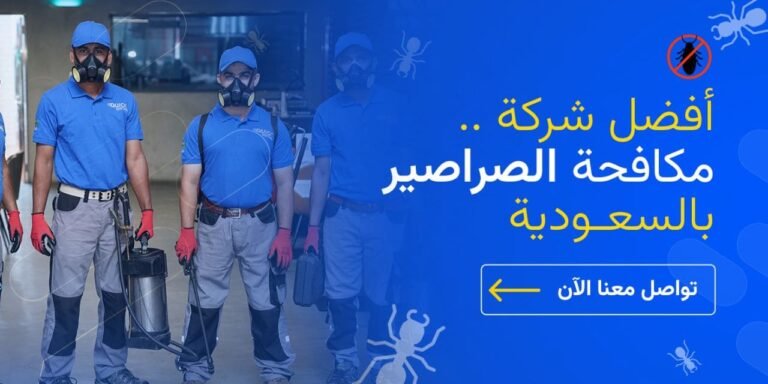 شركة مكافحة الصراصير بالرياض