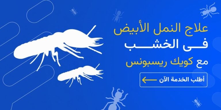 علاج النمل الابيض في الخشب