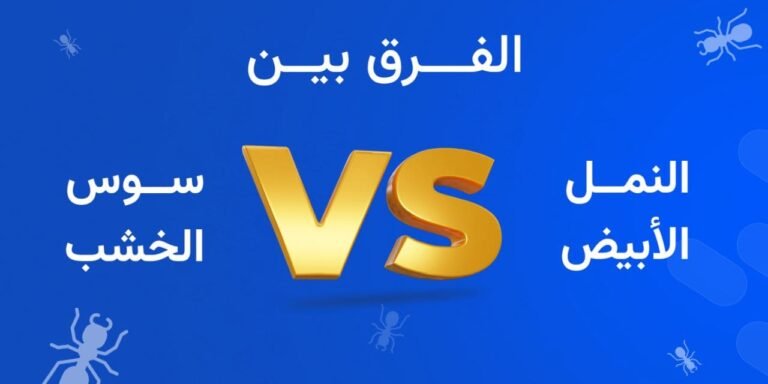 الفرق بين النمل الأبيض وسوس الخشب