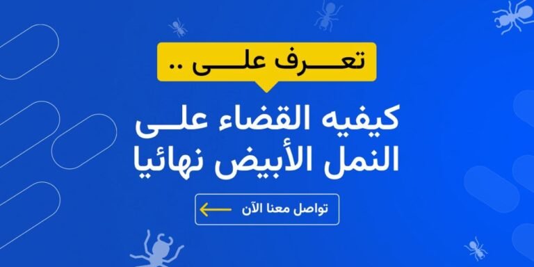 القضاء على النمل الابيض نهائيا