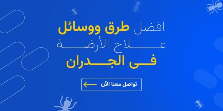 علاج الأرضة في الجدران