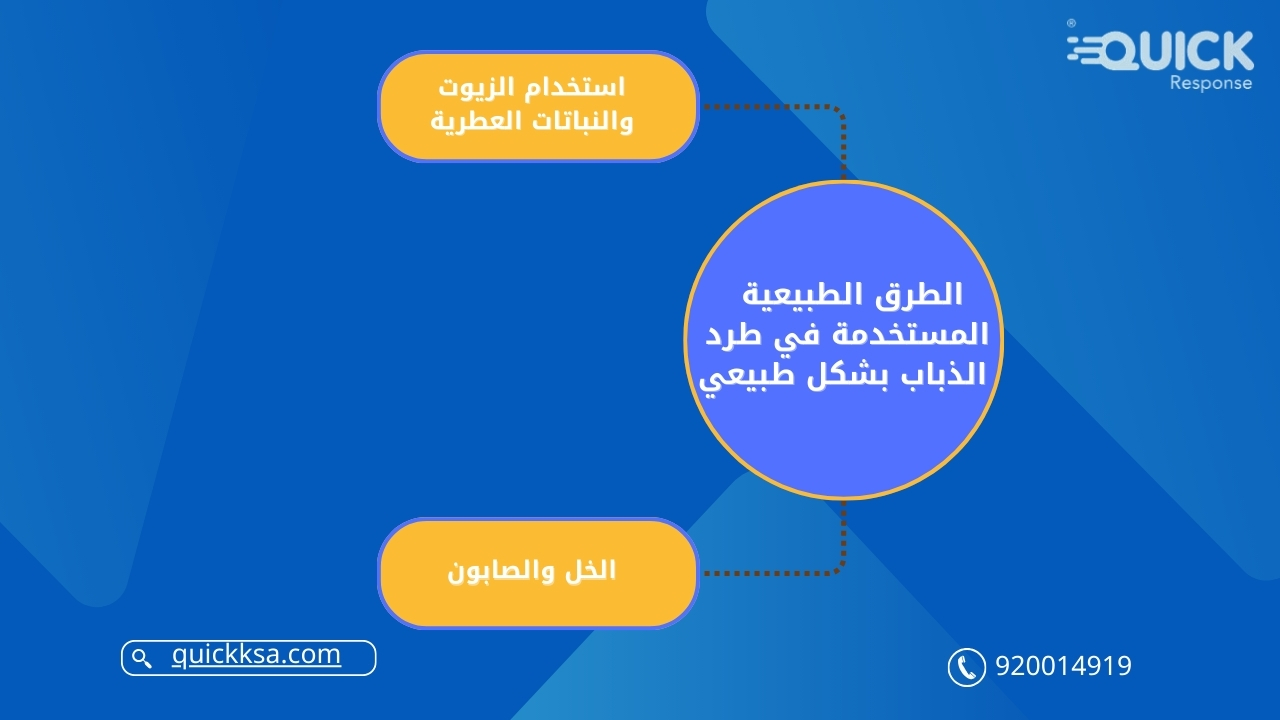 الطرق الطبيعية المستخدمة في طرد الذباب