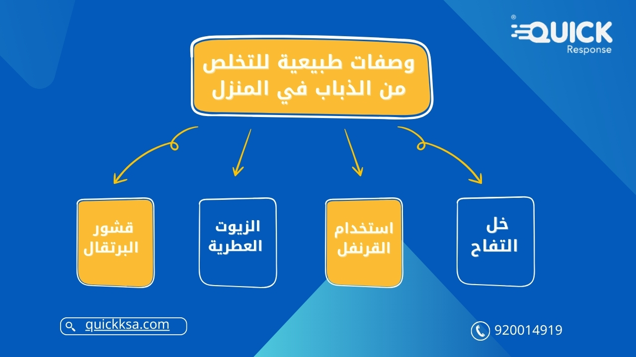 وصفات طبيعية للتخلص من الذباب في المنزل