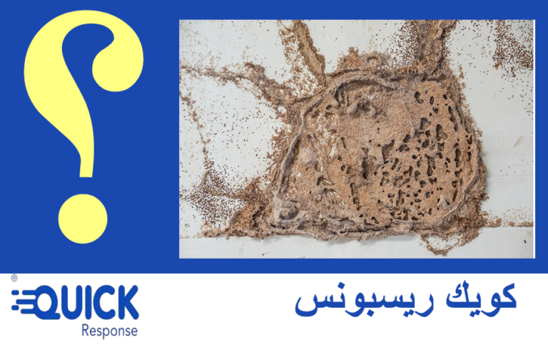 اثار النمل الأبيض في المنزل