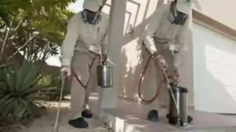 أفضل شركة مكافحة حشرات بالرياض