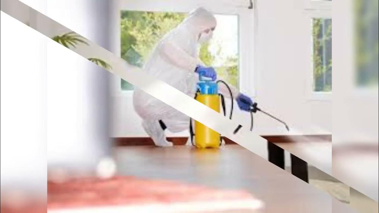 شركات رش مبيدات بالرياض مجربة