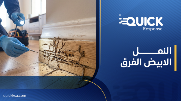 النمل الابيض