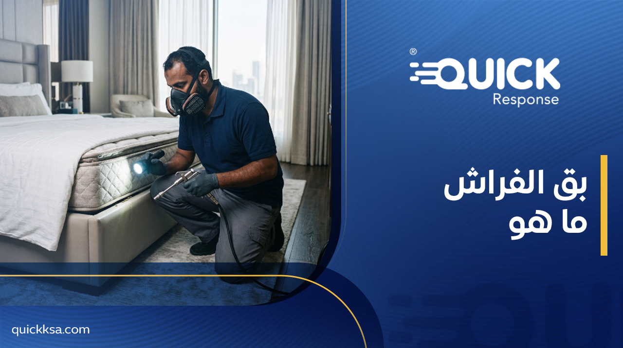 ما هو بق الفراش